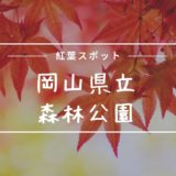 岡山県立森林公園紅葉