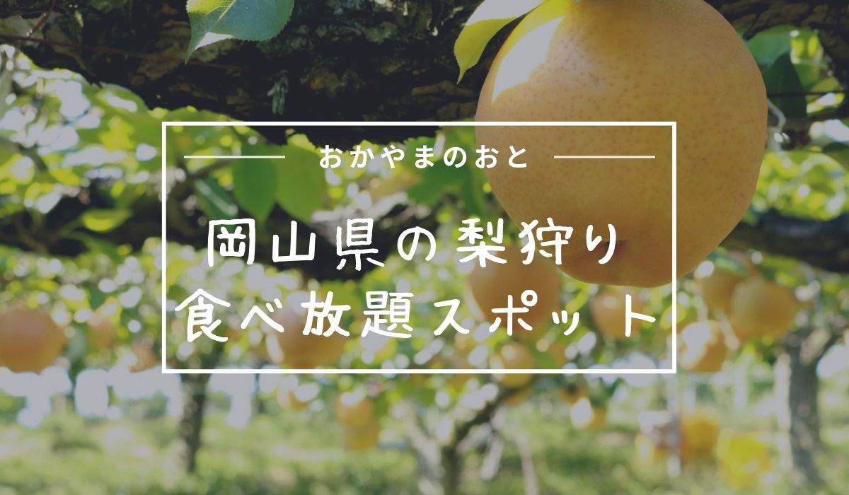 岡山県で梨狩り 食べ放題 できる農園やスポットまとめ 口コミやアクセスも掲載中 おかやまのおと