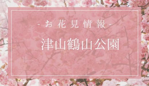 鶴山公園の桜の開花予想は3月27日？駐車場や入場料もまとめるよ！