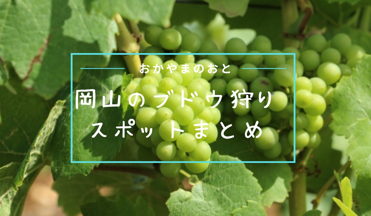 岡山県でぶどう狩り 食べ放題 できる農園やスポット まとめ おかやまのおと